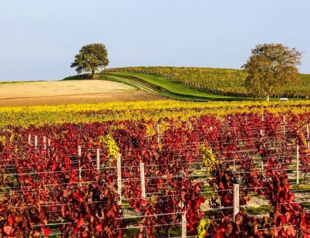 Séjour touristique dans l'Allier