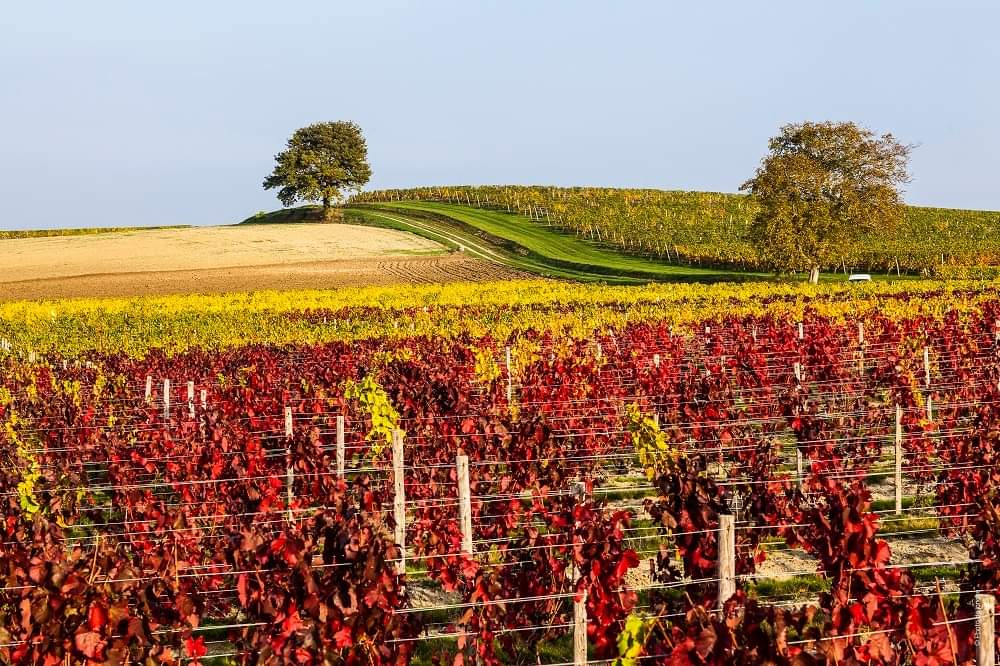 Séjour touristique dans l'Allier
